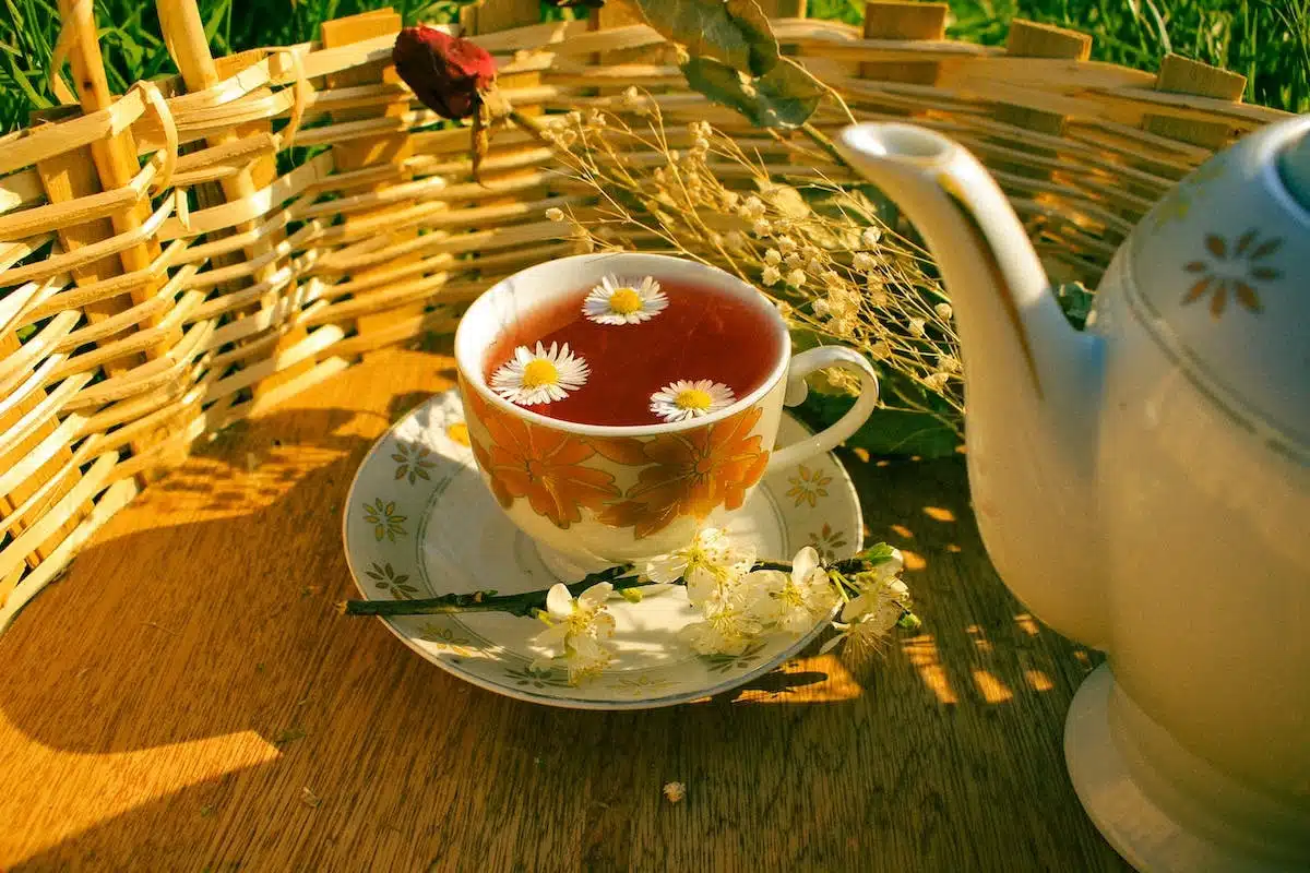 Le guide ultime du thé detox : comment l’intégrer à votre routine bien-être