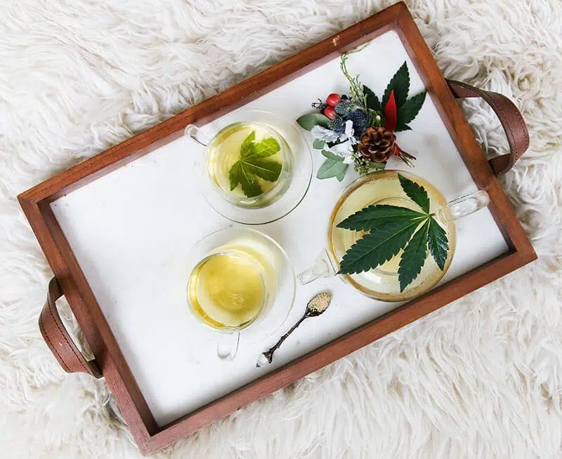 Comment faire une tisane au chanvre ?