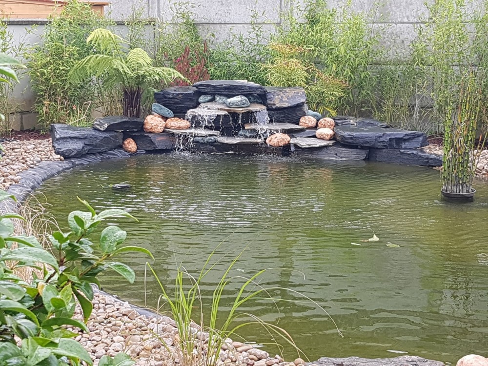 Quels sont les avantages d’installer une filtration pour bassins ?
