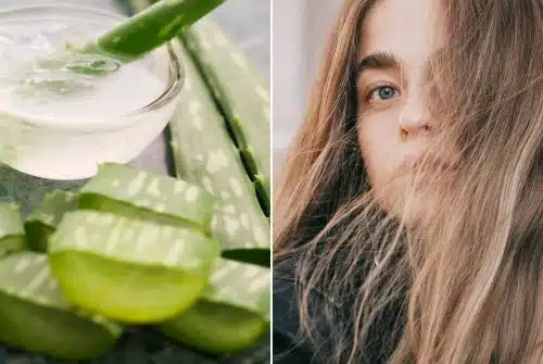 Aloe Vera cheveux : Quels sont les risques encourus ?