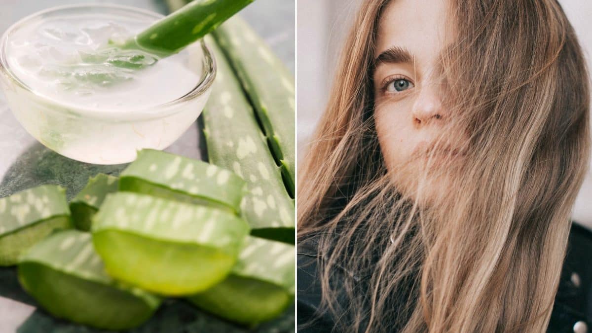 Aloe Vera cheveux : Quels sont les risques encourus ?