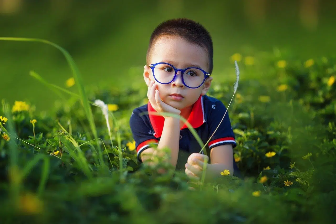 Lulu et Nenette, l’opticien pour enfants par excellence